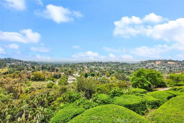 6322 E E W View Dr, Orange, CA 92869 - drone / aerial view