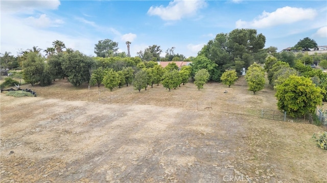 view of nature with a rural view
