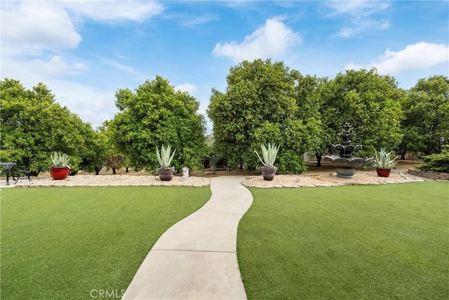 view of property's community with a yard