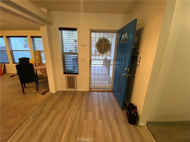 entrance foyer featuring baseboards, a healthy amount of sunlight, and wood finished floors