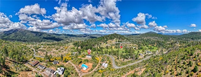 14785 Dove Dr, Cobb, CA 95426 - photo 30