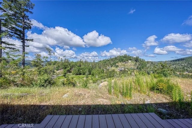 14785 Dove Dr, Cobb, CA 95426 - photo 28