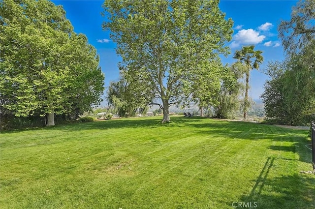 view of green lawn