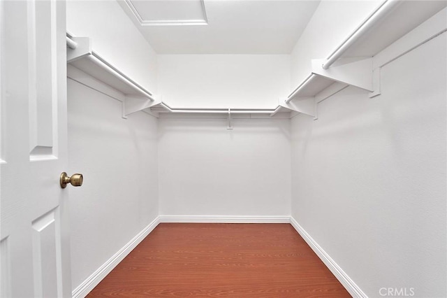 walk in closet with dark wood-style flooring