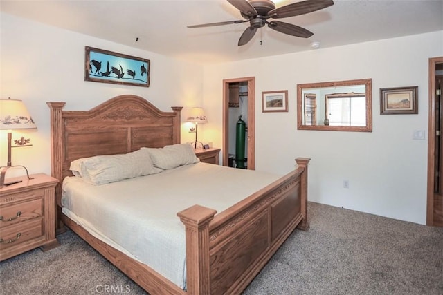 bedroom with a ceiling fan, a closet, carpet, and a walk in closet