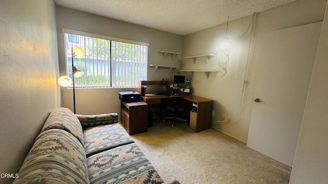 home office with light colored carpet and a textured ceiling
