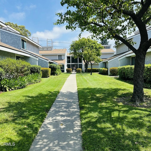 view of community featuring a yard