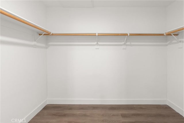 walk in closet with wood finished floors