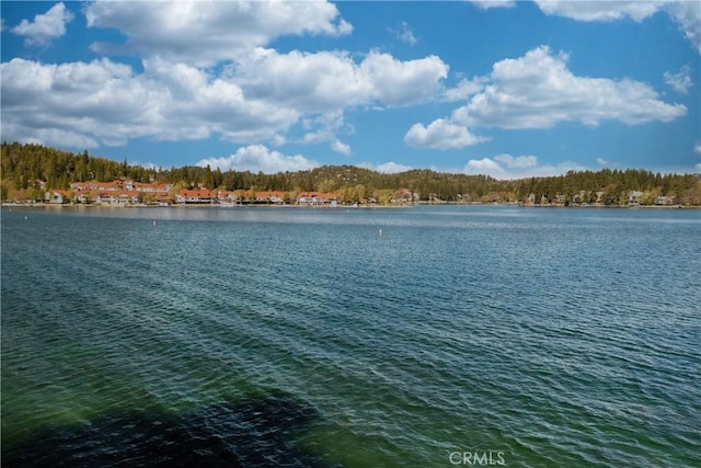 property view of water