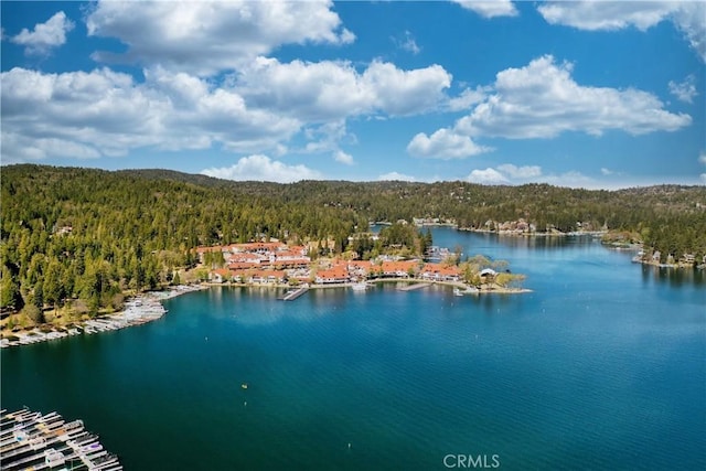 drone / aerial view featuring a water view and a forest view
