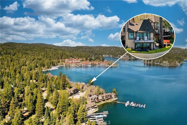 birds eye view of property with a water view and a wooded view