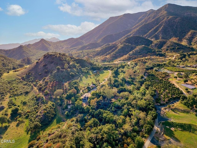 mountain view