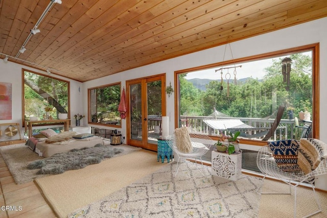 sunroom with rail lighting, french doors, and plenty of natural light