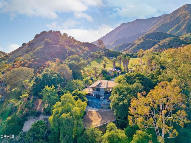 2800 Hermitage Rd, Ojai, CA 93023 - view of mountain background