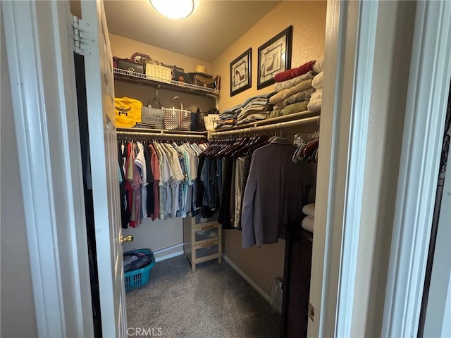 spacious closet featuring carpet flooring