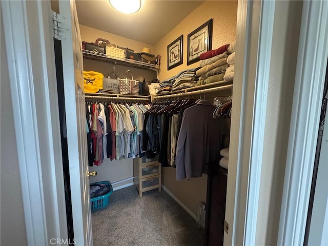 4605 Butterfield Way, Hemet, CA 92544 - walk in closet featuring carpet floors