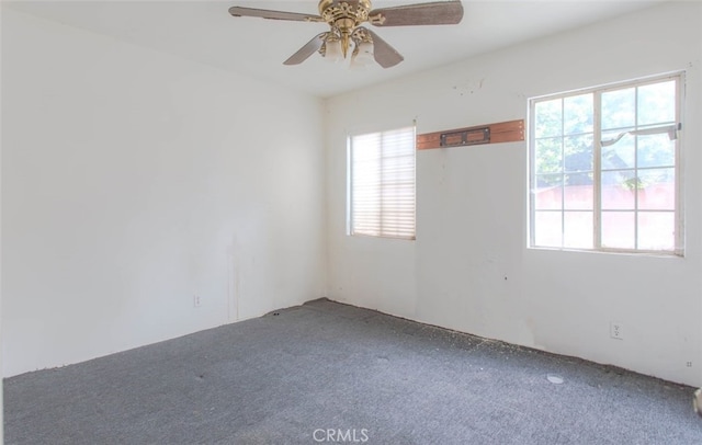 spare room with ceiling fan and carpet flooring