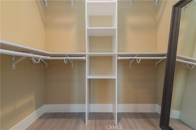 spacious closet featuring wood finished floors