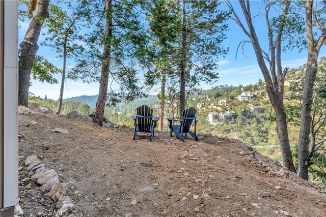 1119 Brentwood Dr, Lake Arrowhead, CA 92352 - view of yard