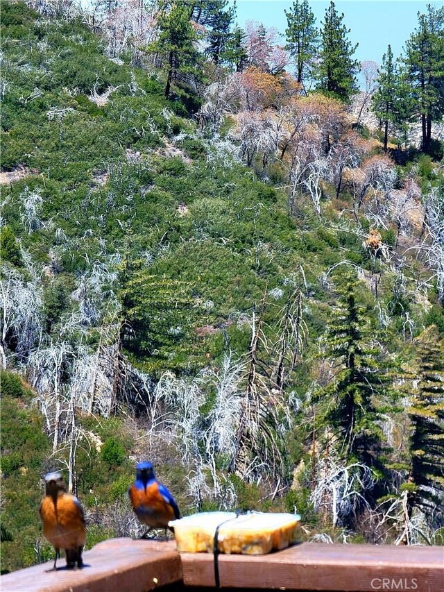 1119 Brentwood Dr, Lake Arrowhead, CA 92352 - view of nature with a forest view