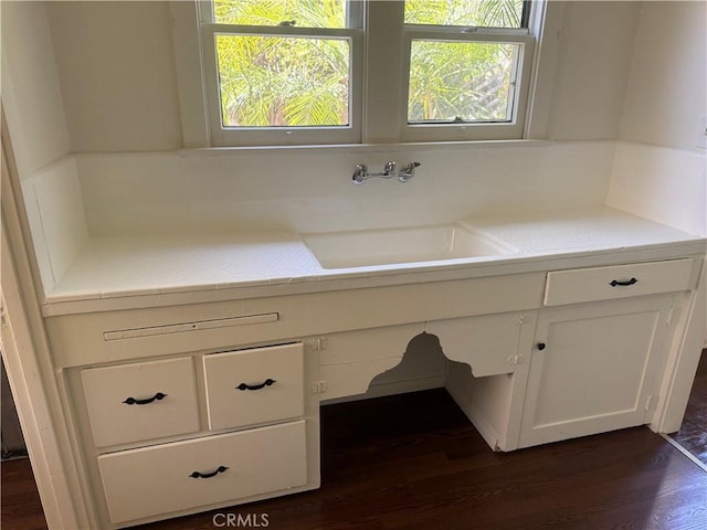 1960 Olive Way, Pasadena, CA 91104 - bathroom featuring a sink, wood finished floors, and healthy amount of natural light