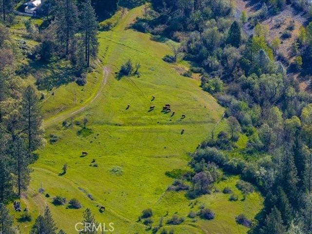 6790 Rush Creek Rd, Weaverville, CA 96052 - photo 24