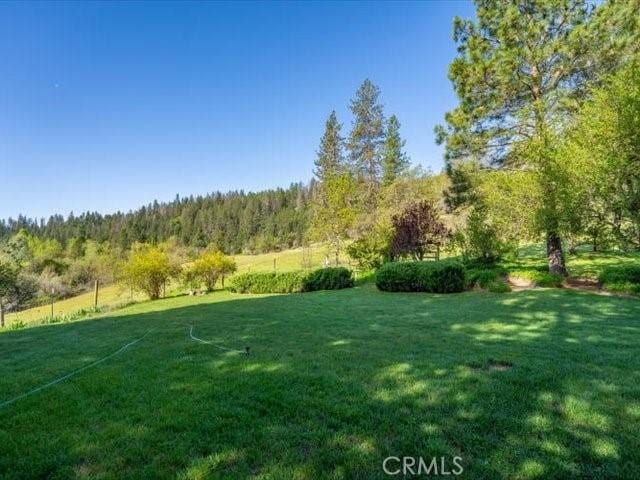 6790 Rush Creek Rd, Weaverville, CA 96052 - photo 59