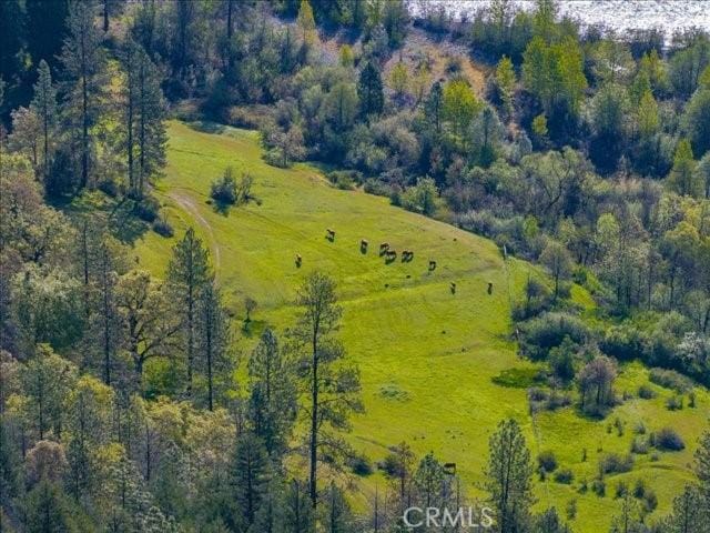 6790 Rush Creek Rd, Weaverville, CA 96052 - photo 30