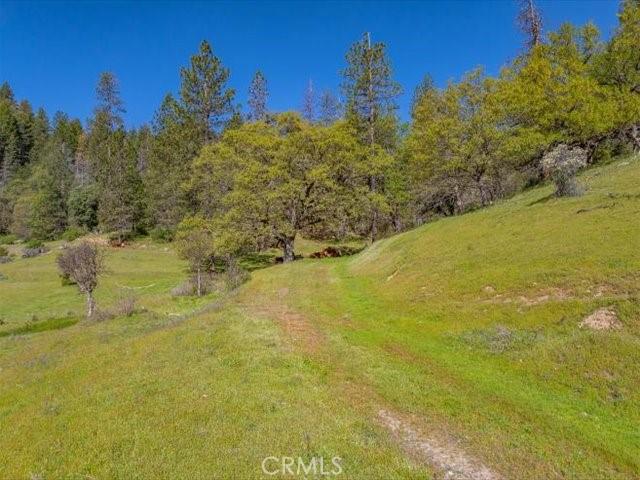 6790 Rush Creek Rd, Weaverville, CA 96052 - photo 43