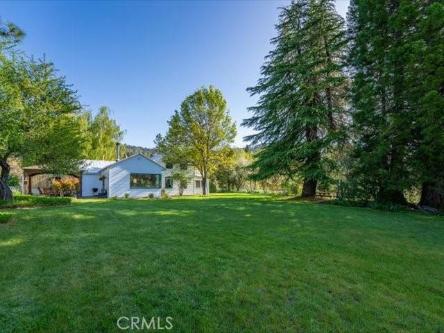 6790 Rush Creek Rd, Weaverville, CA 96052 - photo 61