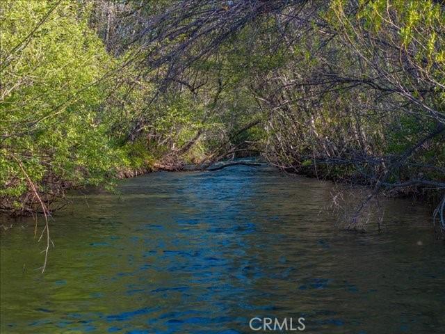 6790 Rush Creek Rd, Weaverville, CA 96052 - photo 34