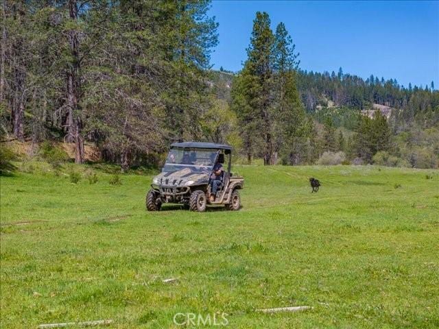 6790 Rush Creek Rd, Weaverville, CA 96052 - photo 66