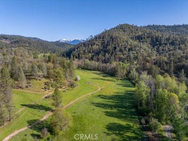 6790 Rush Creek Rd, Weaverville, CA 96052 - photo 23
