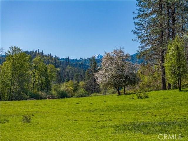 6790 Rush Creek Rd, Weaverville, CA 96052 - photo 45