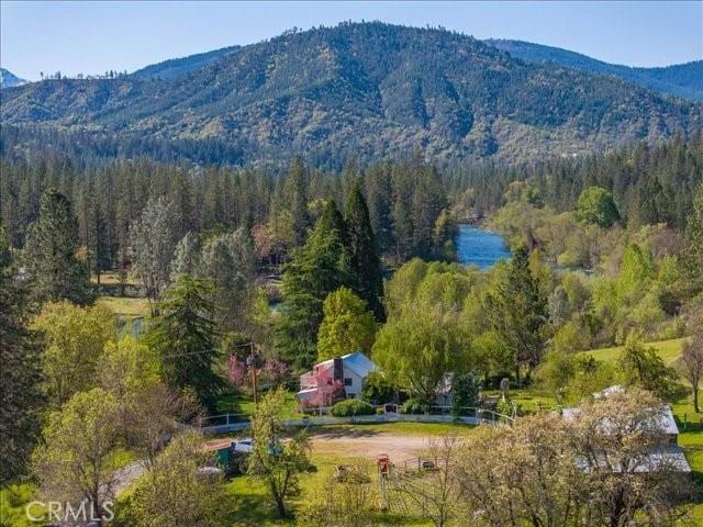 6790 Rush Creek Rd, Weaverville, CA 96052 - photo 41