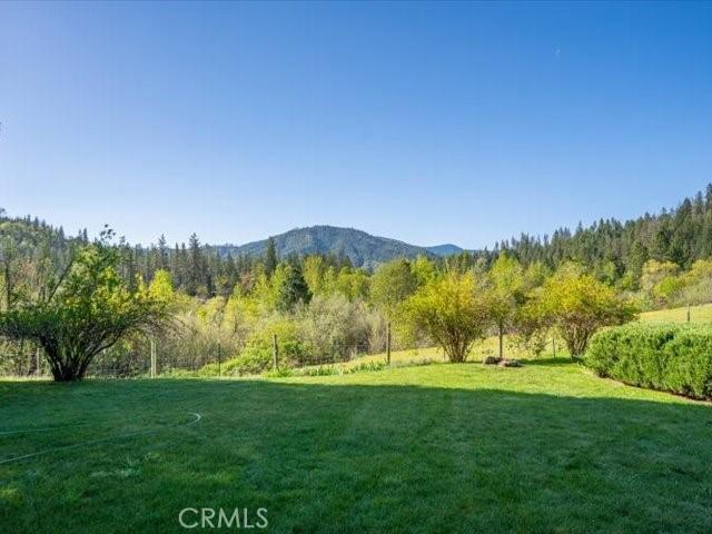 6790 Rush Creek Rd, Weaverville, CA 96052 - photo 60
