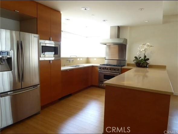 kitchen featuring wall chimney range hood, light wood-type flooring, a sink, a peninsula, and stainless steel appliances