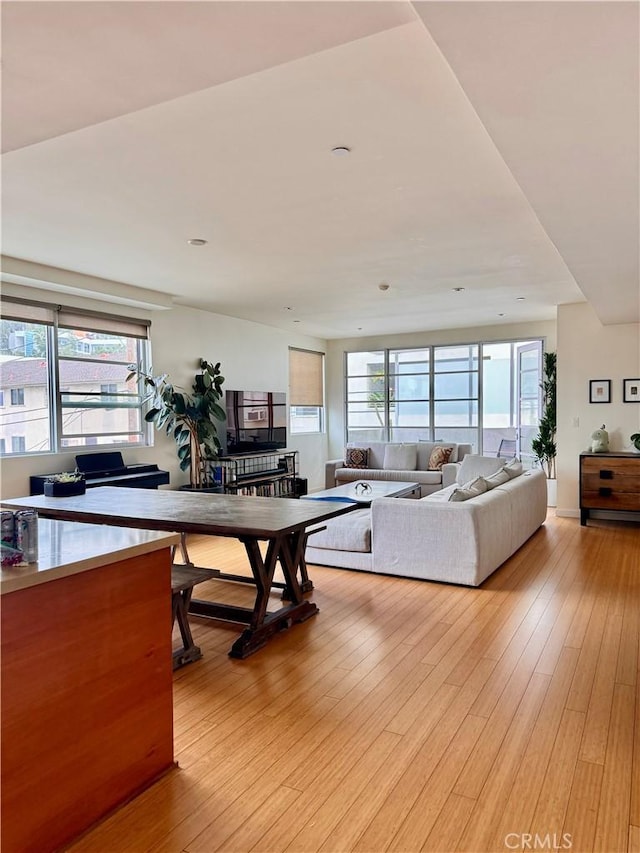 living room with light wood-type flooring