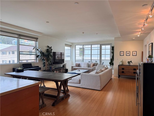 living room with track lighting, light wood finished floors, and a wealth of natural light