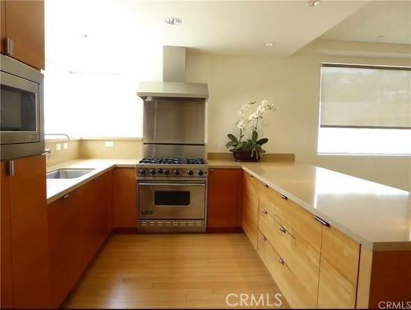 kitchen with a peninsula, light wood-type flooring, wall chimney exhaust hood, a sink, and stainless steel appliances