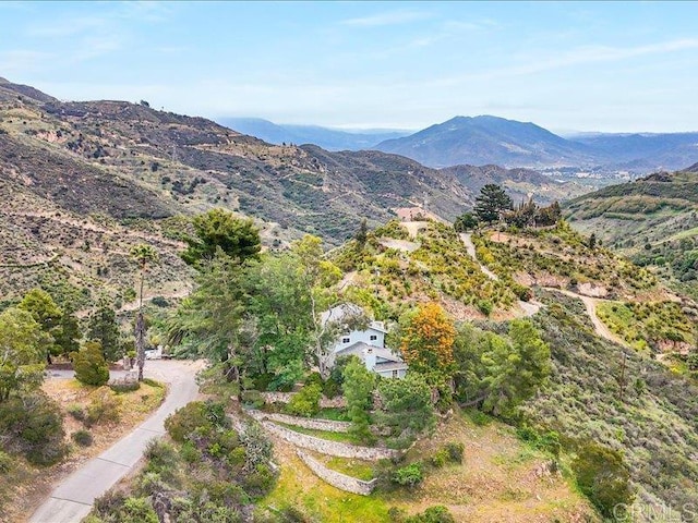 view of mountain feature