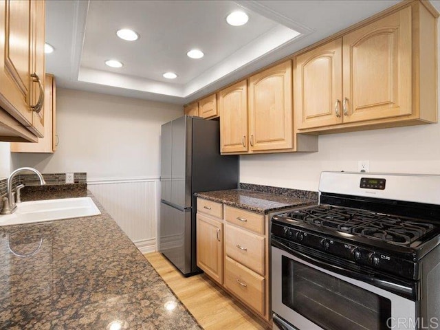 kitchen featuring a sink, a raised ceiling, light brown cabinets, and stainless steel appliances