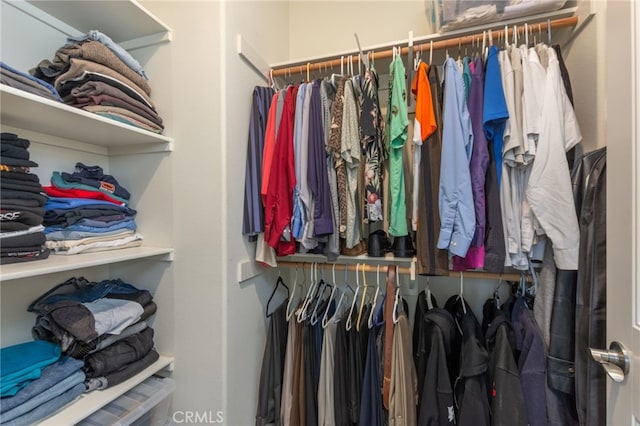 view of walk in closet