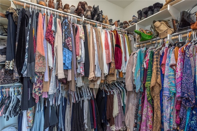 view of walk in closet