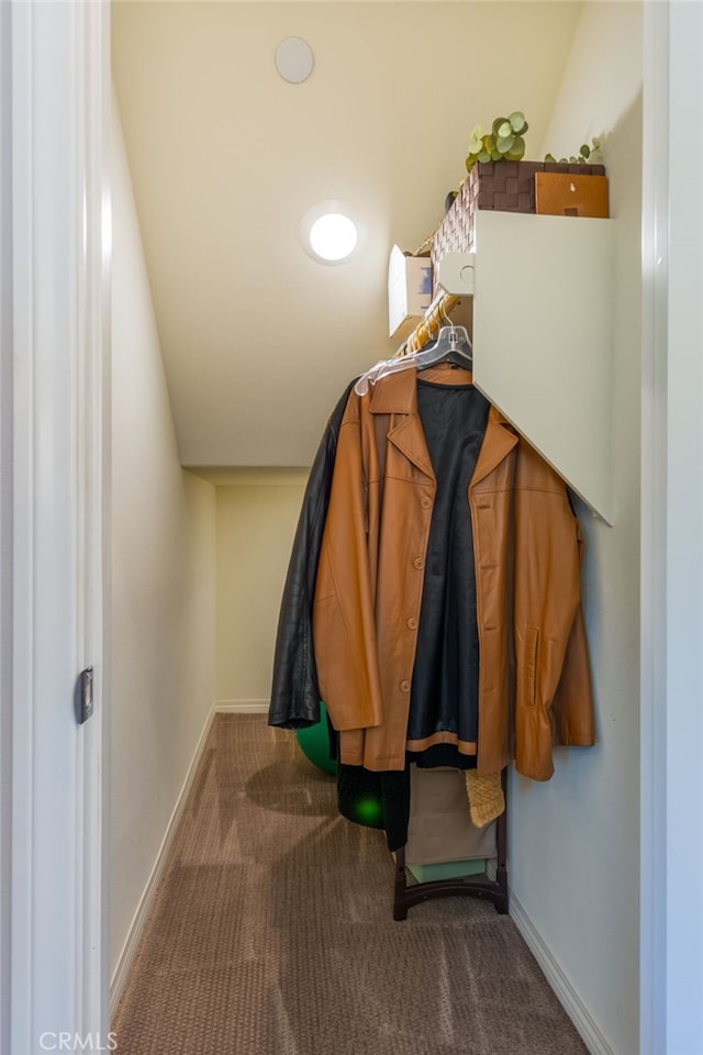 walk in closet featuring carpet