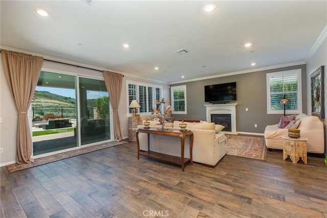 living area with crown molding, wood finished floors, baseboards, and a glass covered fireplace