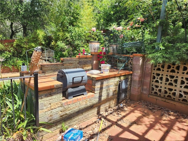 view of patio featuring area for grilling