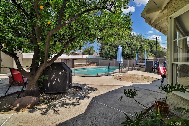 view of pool featuring a fenced backyard, a fenced in pool, and a patio area