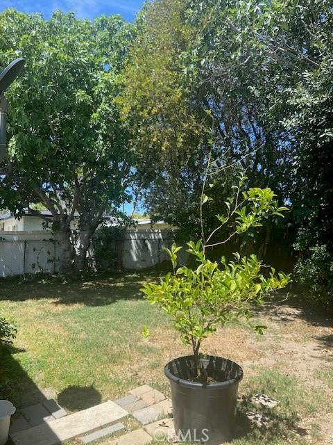 20243 Bassett St, Winnetka, CA 91306 - view of yard