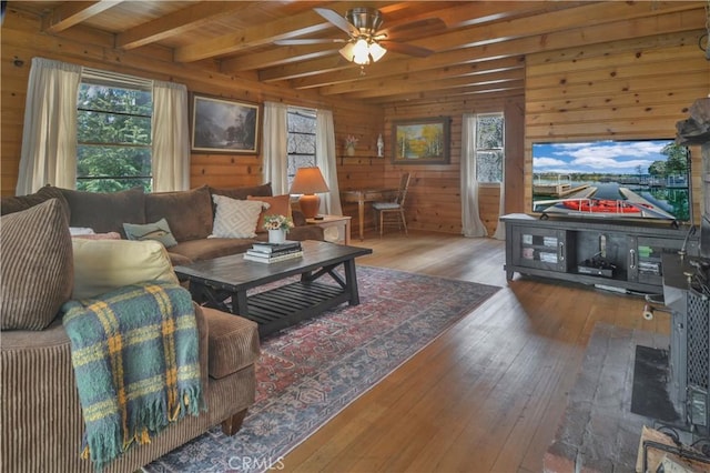 living area featuring a ceiling fan, beam ceiling, a healthy amount of sunlight, and hardwood / wood-style floors
